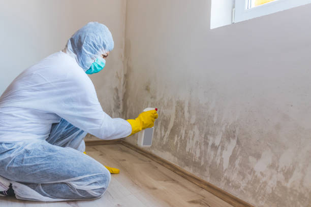 Crawl Space Mold Remediation treatment of floor joists in Jackson